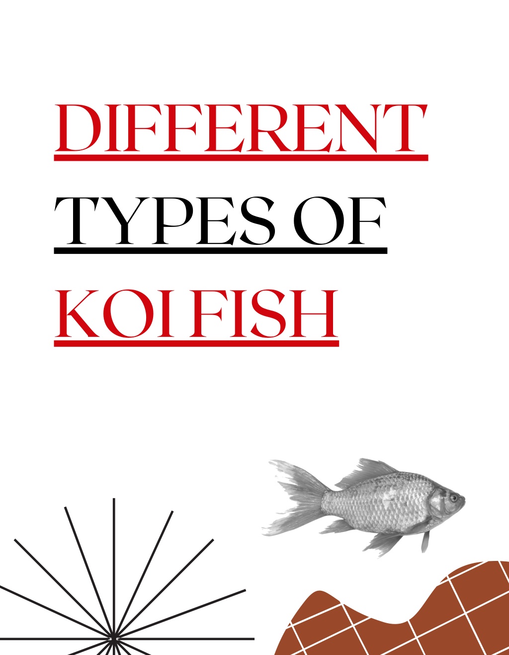 PPT Different Types Of Koi Fish PowerPoint Presentation Free