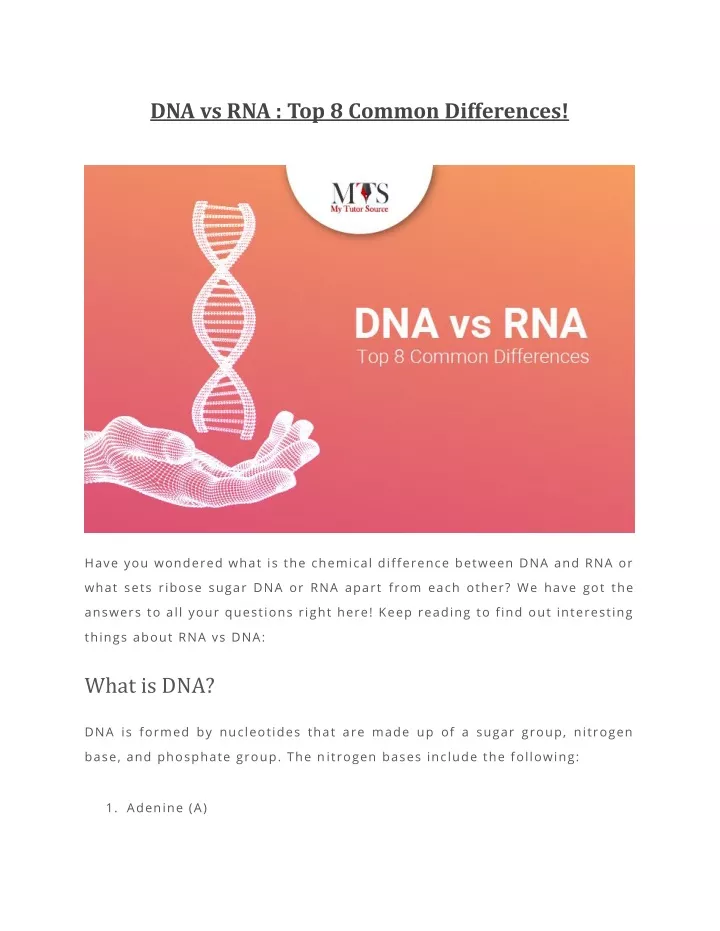 PPT DNA Vs RNA Top 8 Common Differences PowerPoint Presentation