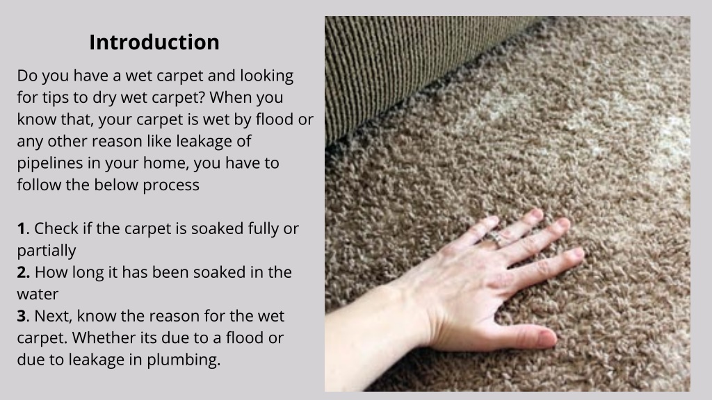 Ppt Tips On How To Dry A Wet Carpet Powerpoint Presentation Free