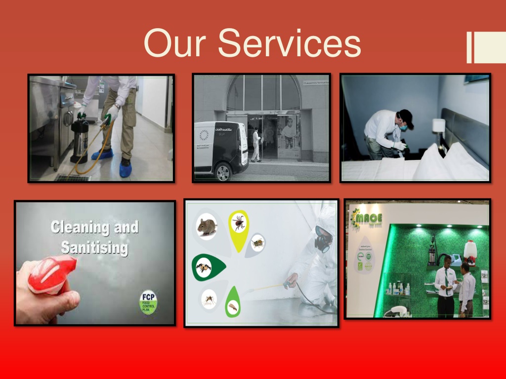 PPT Search Termite And Pest Control ArRiyadh companies PowerPoint