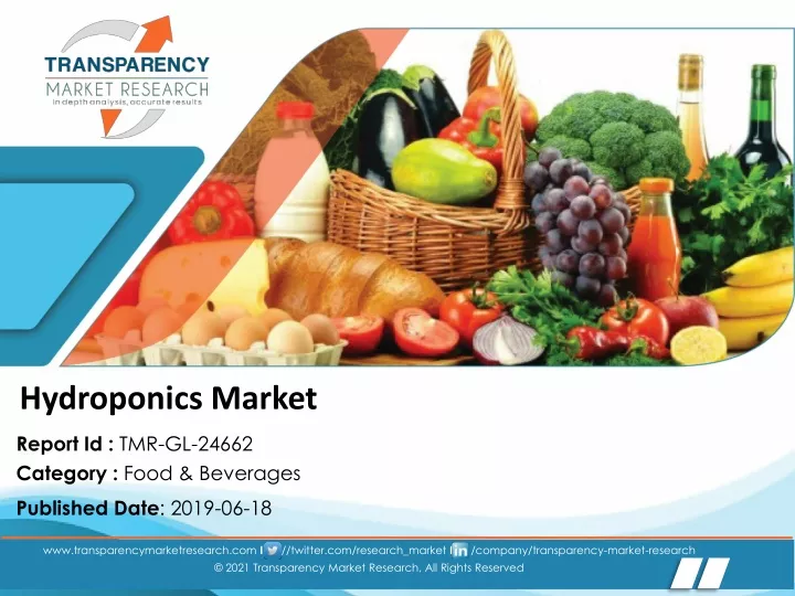 PPT Hydroponics Market Analytical Overview, Growth Factors, Demand