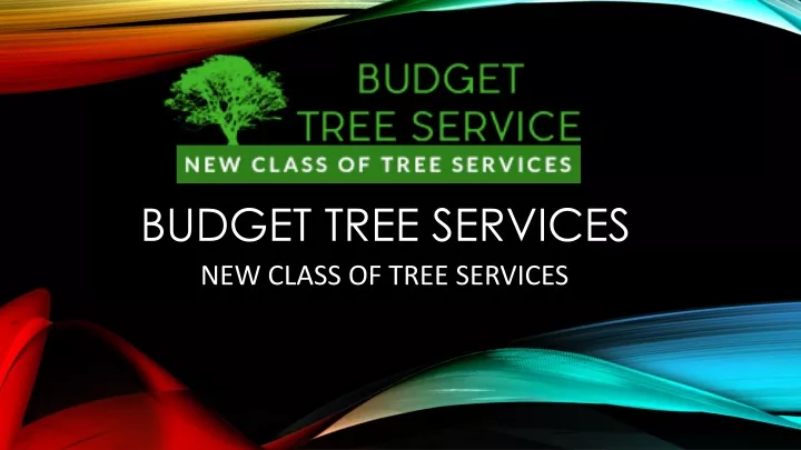 PPT - Budget Tree Service in California, USA | Call Now 818-968-6997