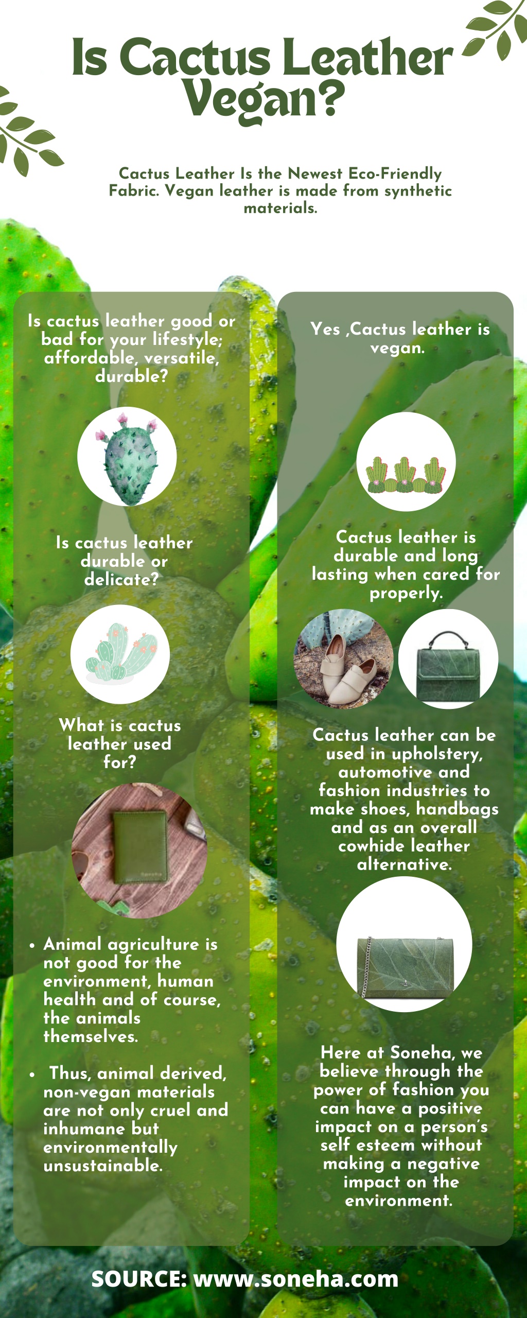 What is Vegan Leather Made Out of? Some Come From Fruits, Leaves, and Cacti