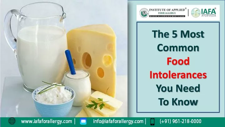 Ppt The 5 Most Common Food Intolerances You Need To Know Powerpoint Presentation Id 11311604