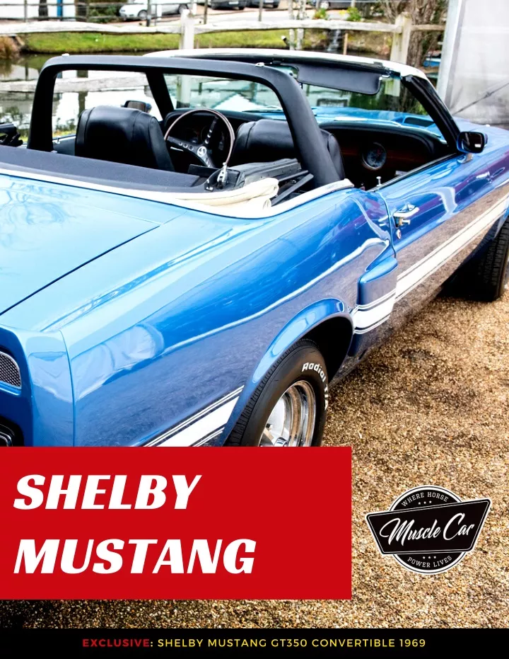 shelby mustang n.