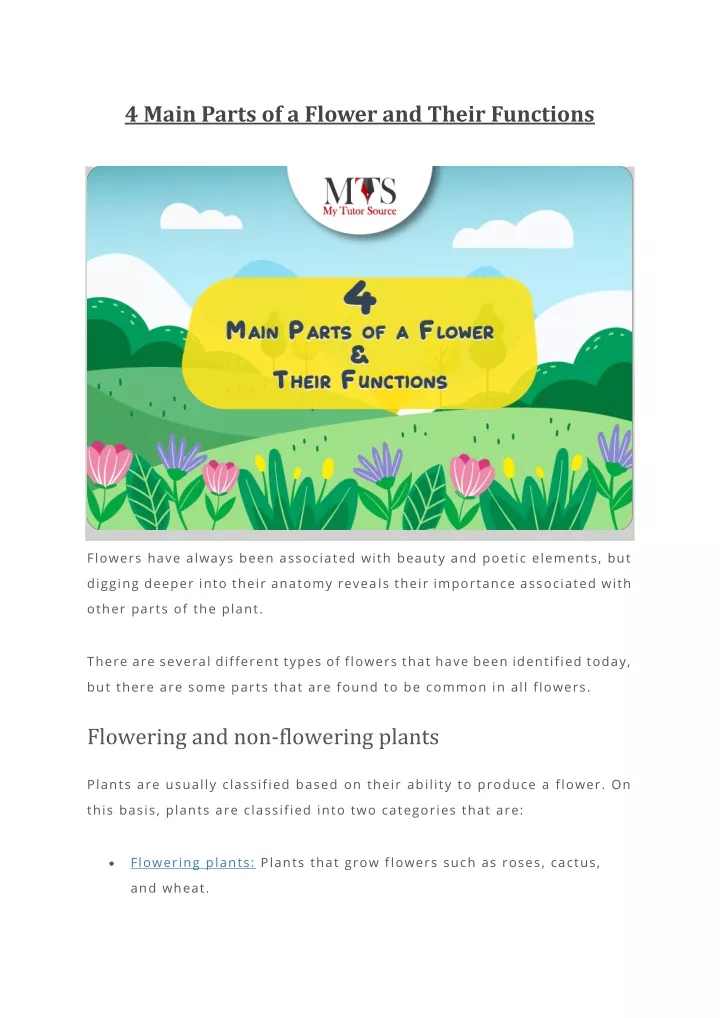 ppt-4-main-parts-of-a-flower-and-their-functions-powerpoint