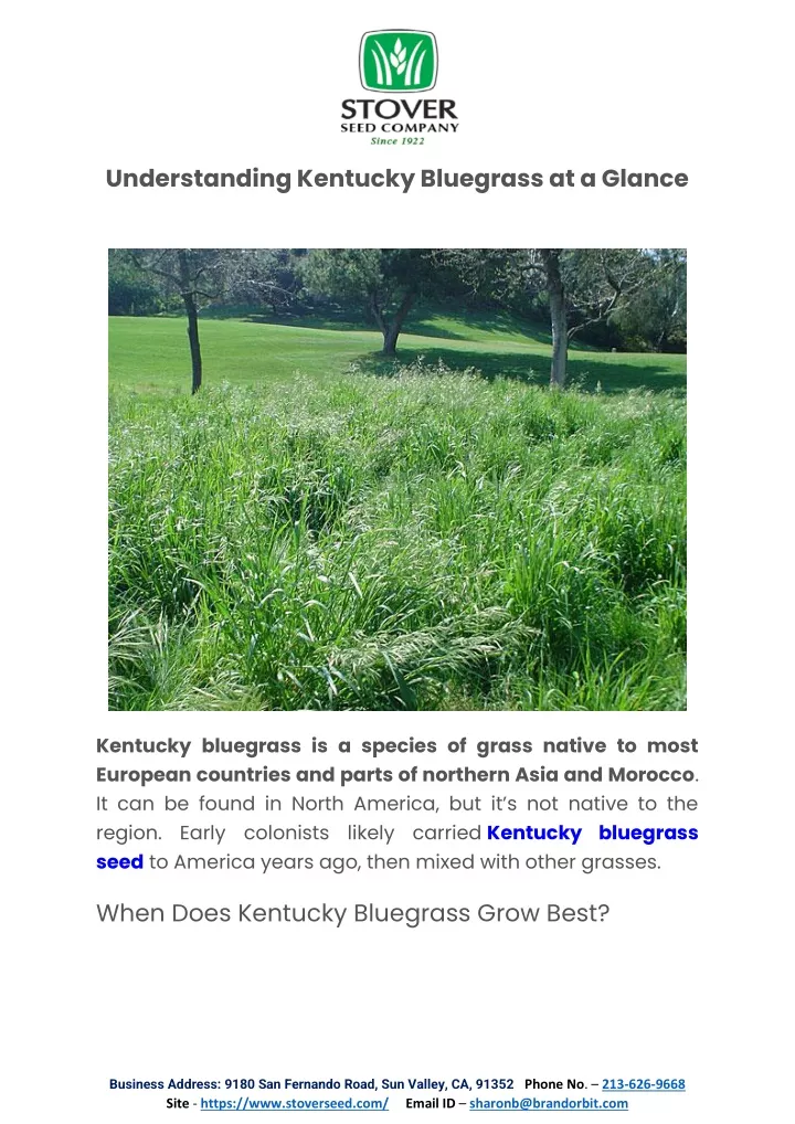 Understanding Kentucky Bluegrass At A Glance N 