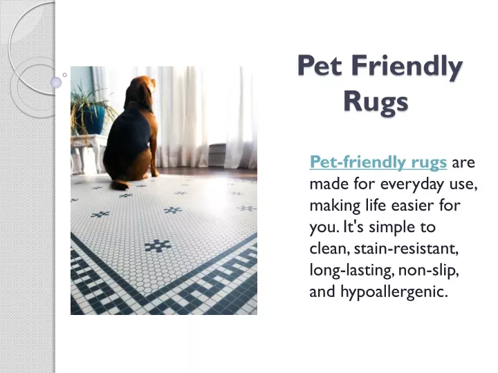 PPT Pet Friendly Rugs PowerPoint Presentation, free download ID