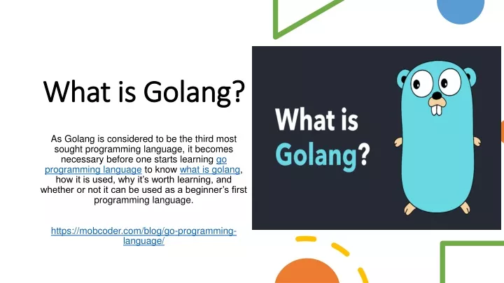 PPT What Is Golang PowerPoint Presentation Free Download ID