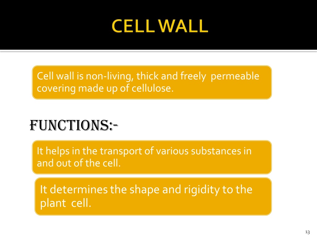 PPT - GRADE-9 CBSE CHAPTER-5 THE FUNDAMENTAL UNIT OF LIFE PPT ...