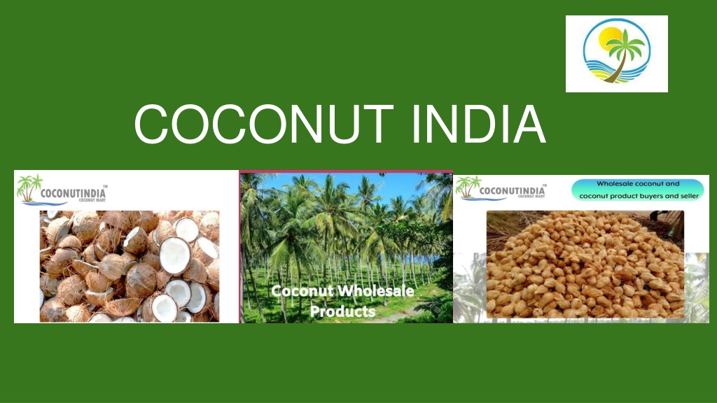 PPT COCONUT INDIA (1) PowerPoint Presentation, free download ID