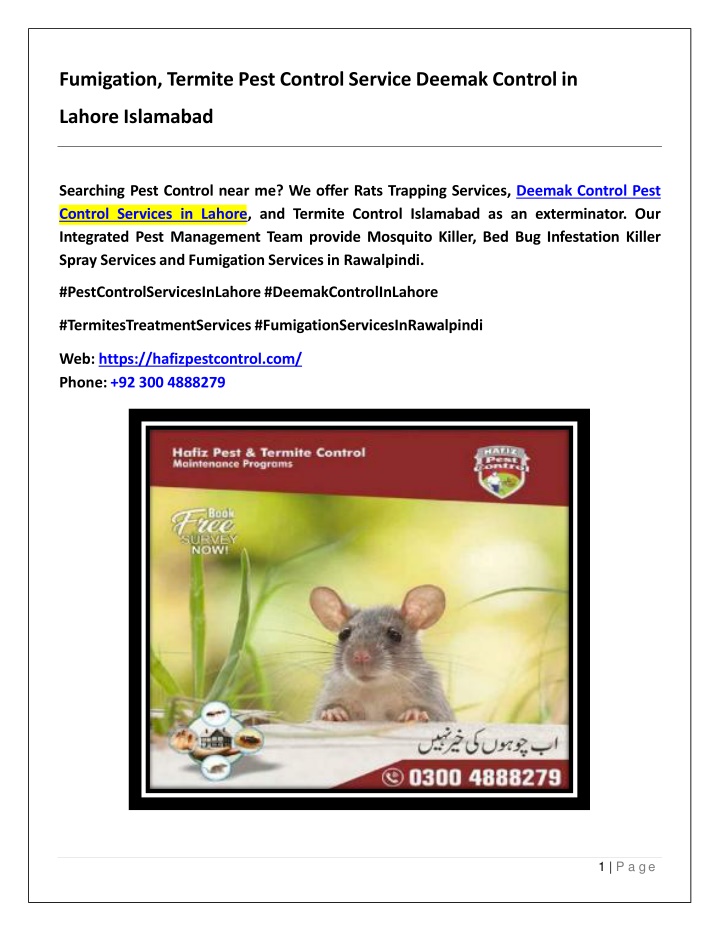 Pest Control & Termite Treatment: Local Exterminators