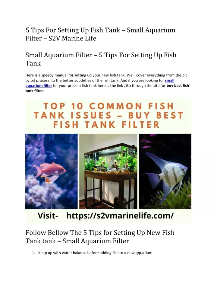 PPT 5 Tips For Setting Up Fish Tank Small Aquarium Filter S2V