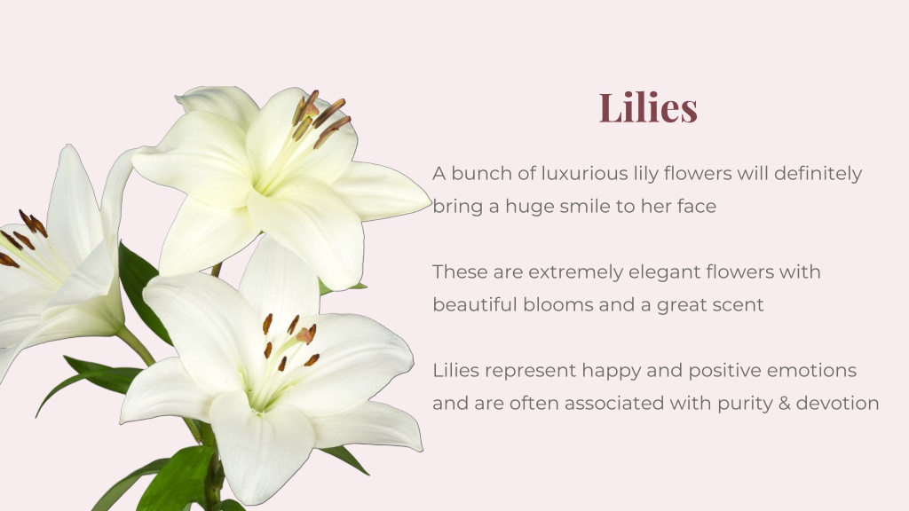 PPT Best Flowers to Gift Your Girlfriend on Her Birthday PowerPoint