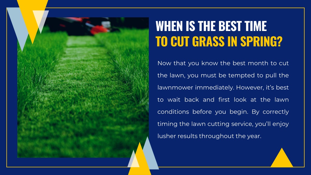 PPT When Should Be Your First Lawn Cut of The Year Gorski