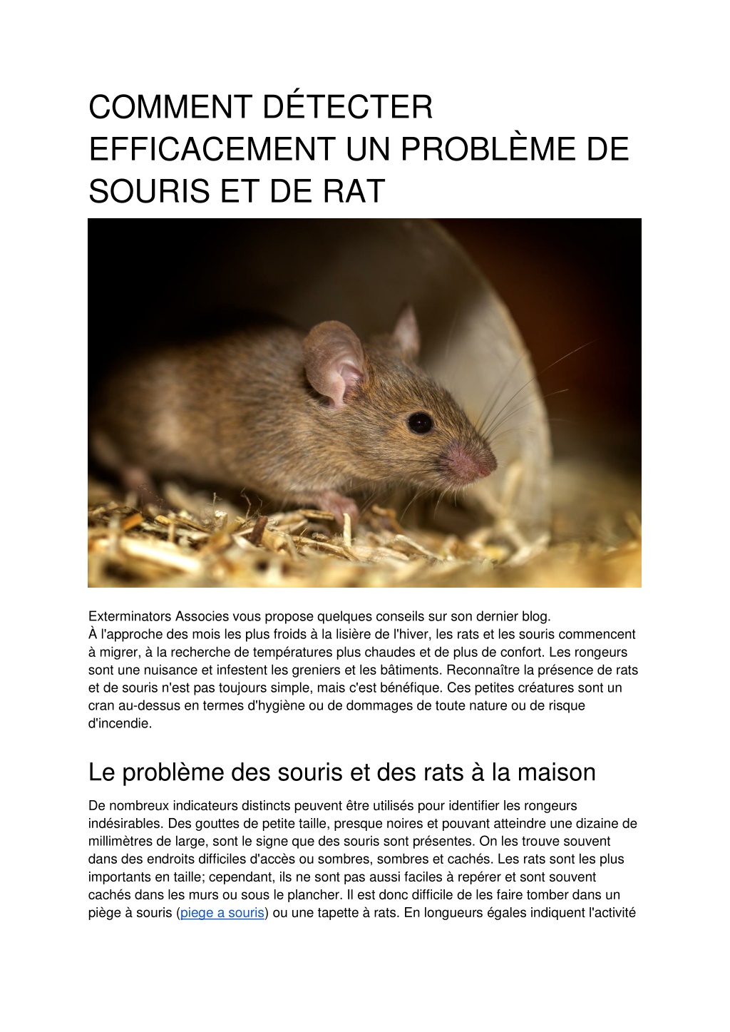 Détecter la présence de rongeurs : rats et souris