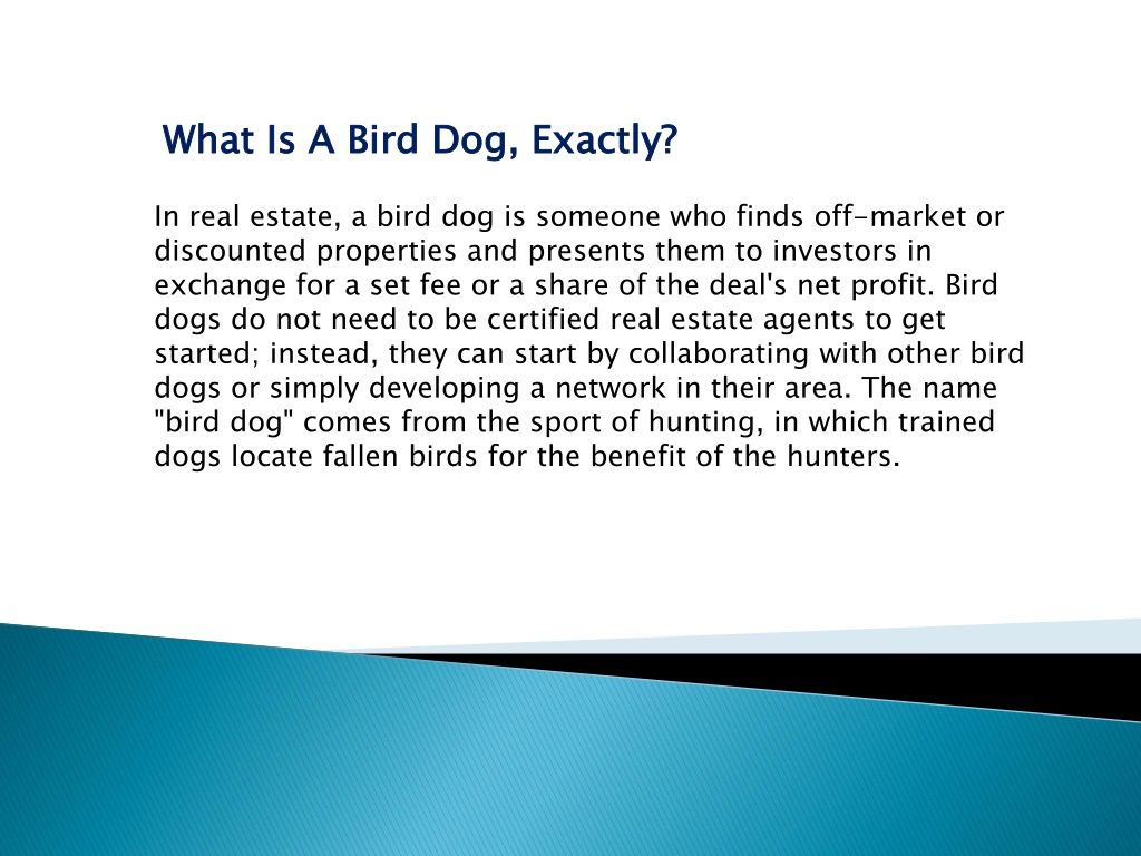 ppt-bird-dogging-significance-in-the-real-estate-sector-innocent