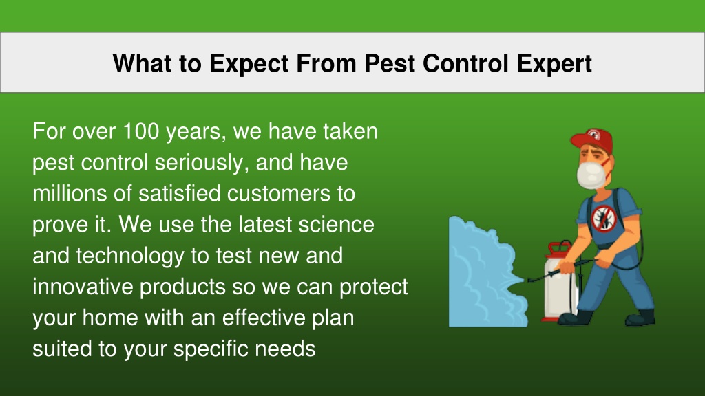 PPT Best Pest Control Specialists Pest Control Expert PowerPoint