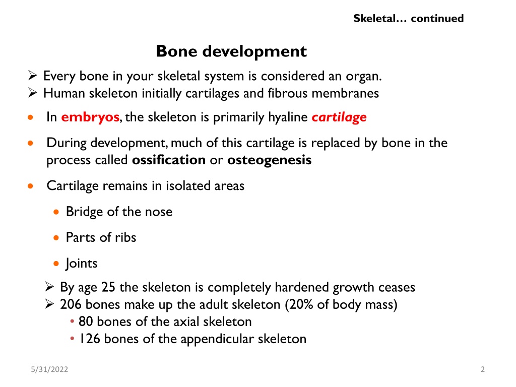 PPT - skeletal system ppt PowerPoint Presentation, free download - ID ...