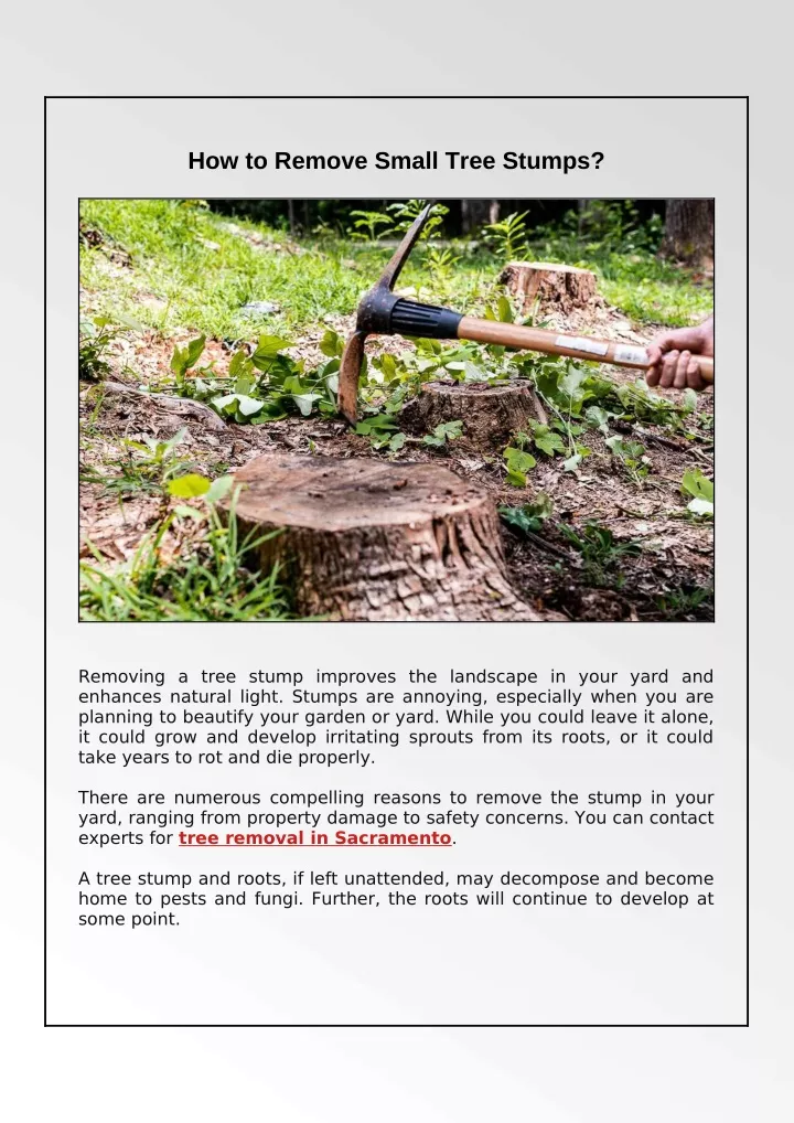 ppt-how-to-get-rid-of-small-tree-stumps-powerpoint-presentation