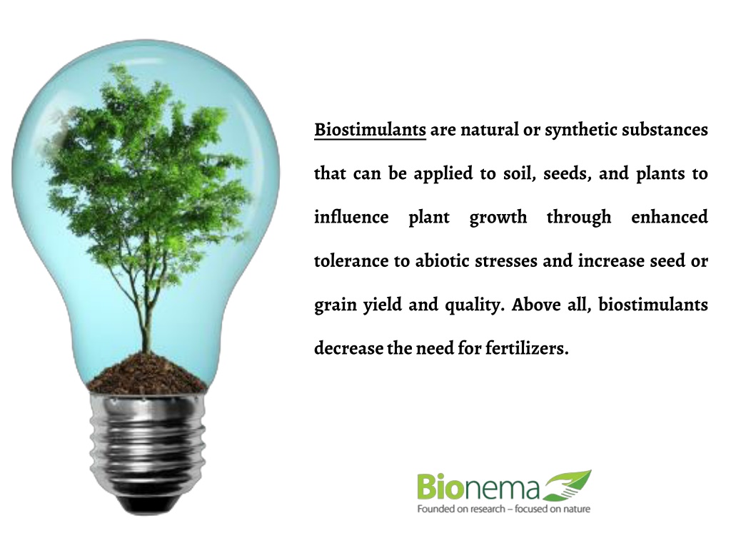 PPT - Biostimulants In Plant Science PowerPoint Presentation, Free ...