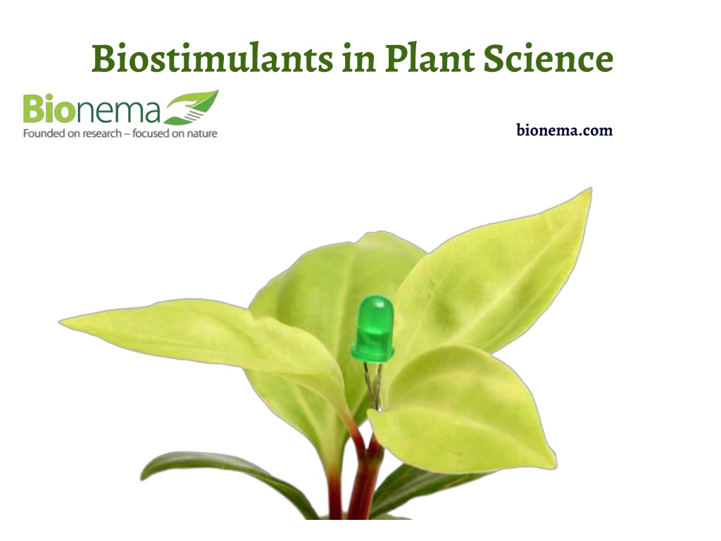 PPT - Biostimulants In Plant Science PowerPoint Presentation, Free ...