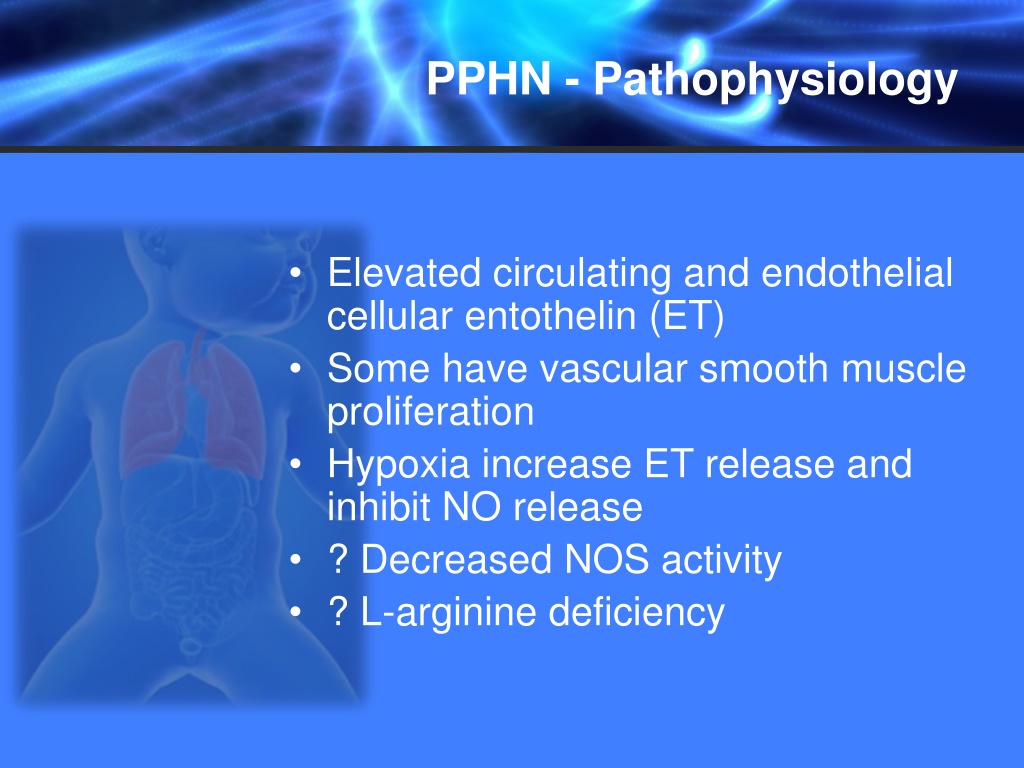 Ppt Nitric Oxide Therapy Powerpoint Presentation Free Download Id11382401 2864