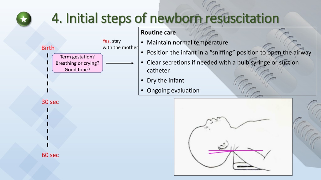 PPT - Newborn Resuscitation PowerPoint Presentation, free download - ID ...