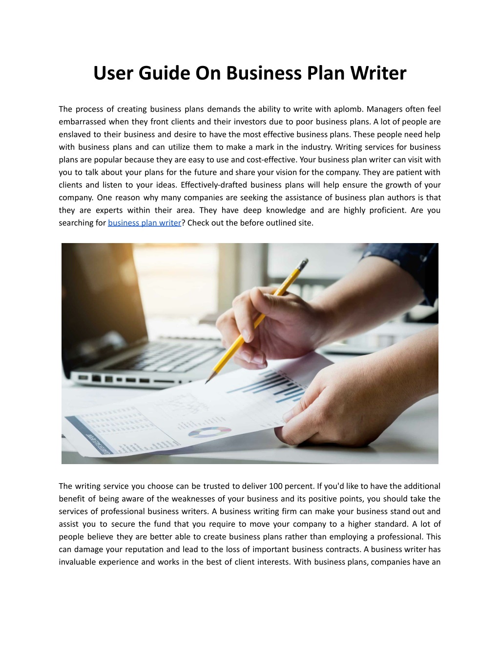 business plan writer meaning