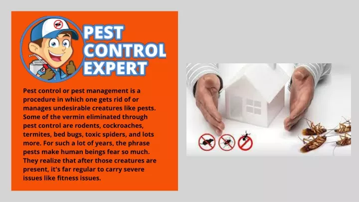 PPT - Pest Control Specialists - Pest Control Expert PowerPoint ...