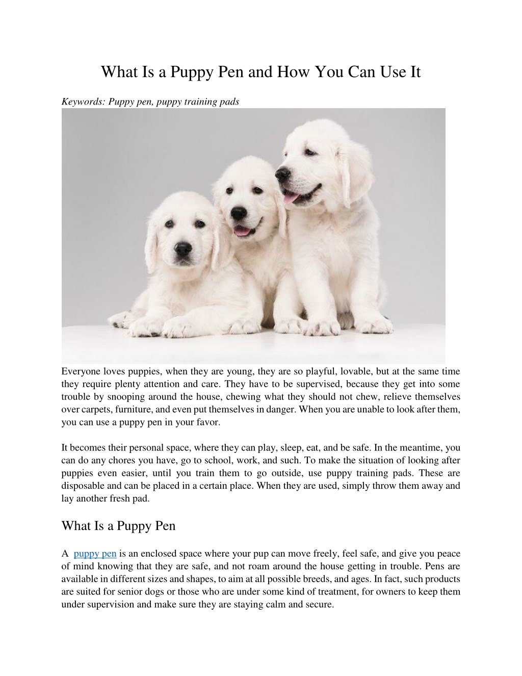 PPT What Is A Puppy Pen And How You Can Use It PowerPoint 