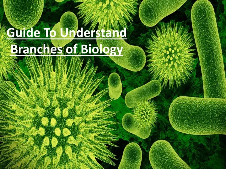 powerpoint presentation on branches of biology