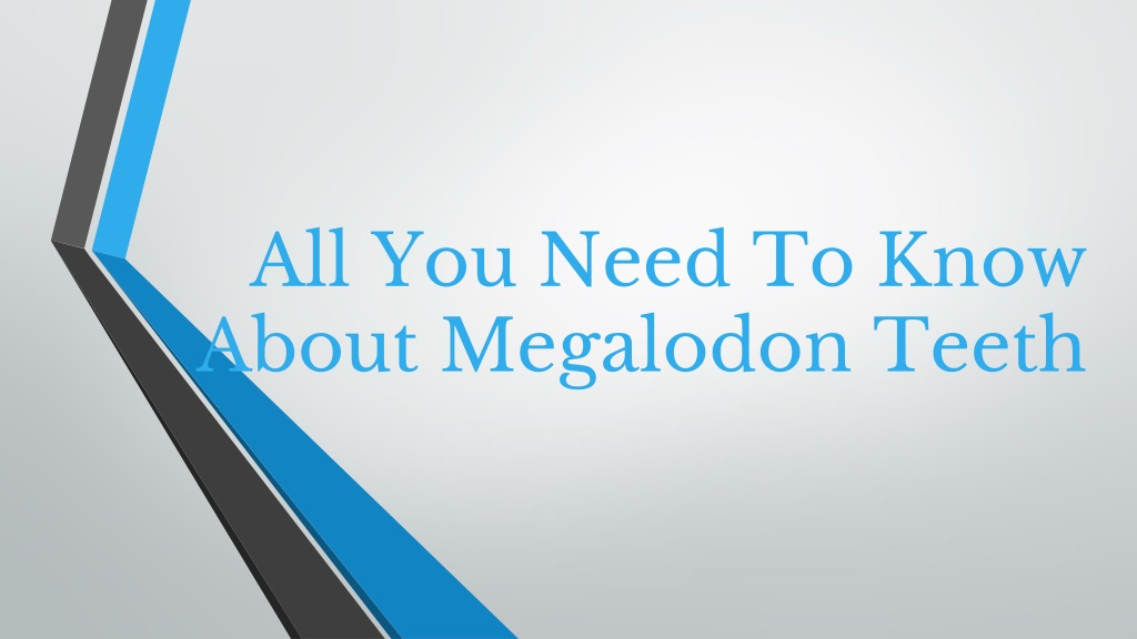 PPT - All You Need To Know About Megalodon Teeth PowerPoint ...