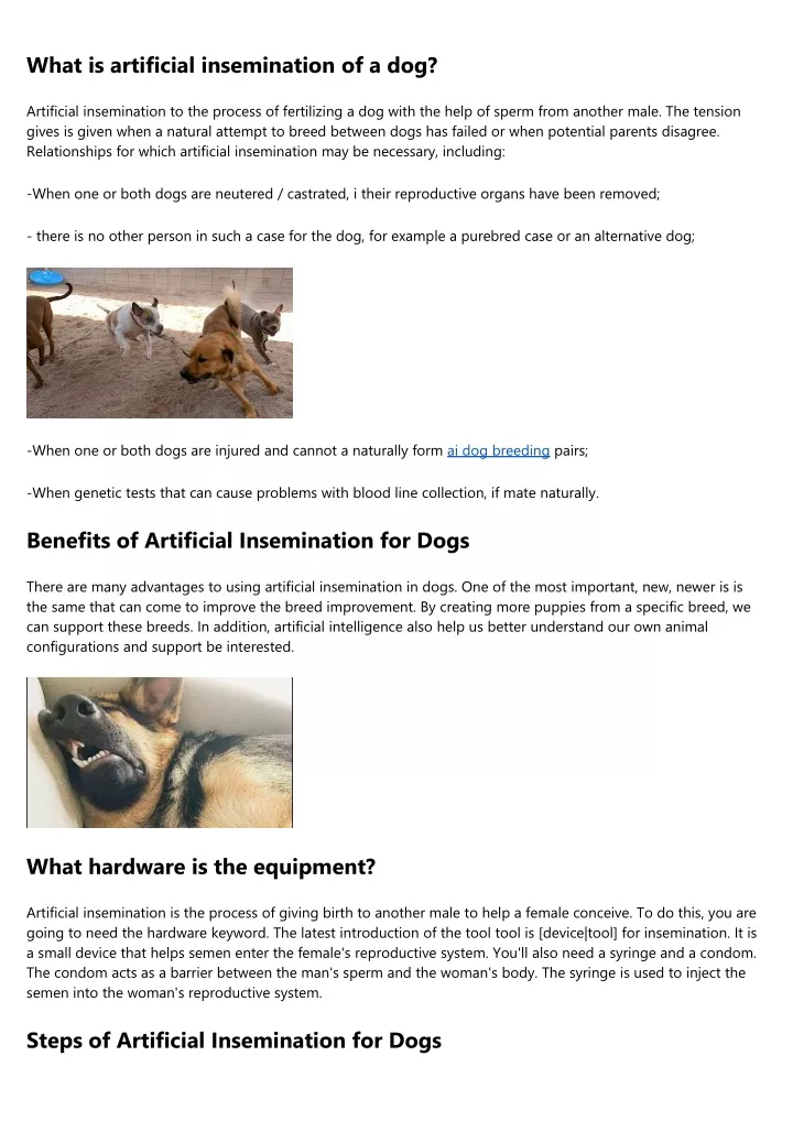 PPT - Dog Artificial Insemination PowerPoint Presentation, free download - ID:11405243