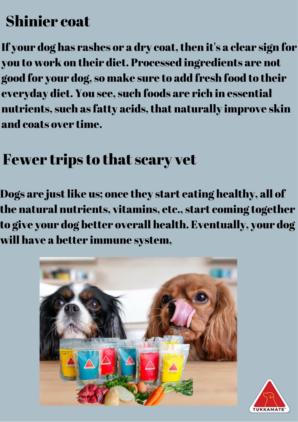 PPT Healthiest Dog Food Tukkamate PowerPoint Presentation, free
