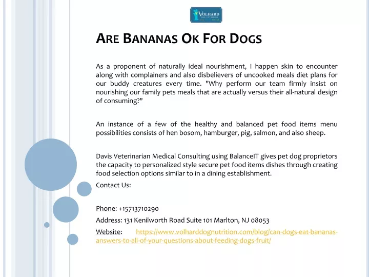 ppt-are-bananas-ok-for-dogs-powerpoint-presentation-free-download