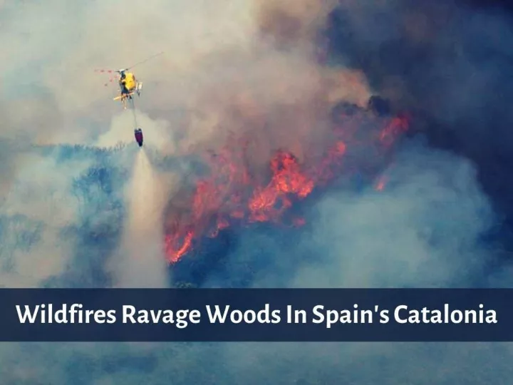 wildfires ravage woods in spain s catalonia n.