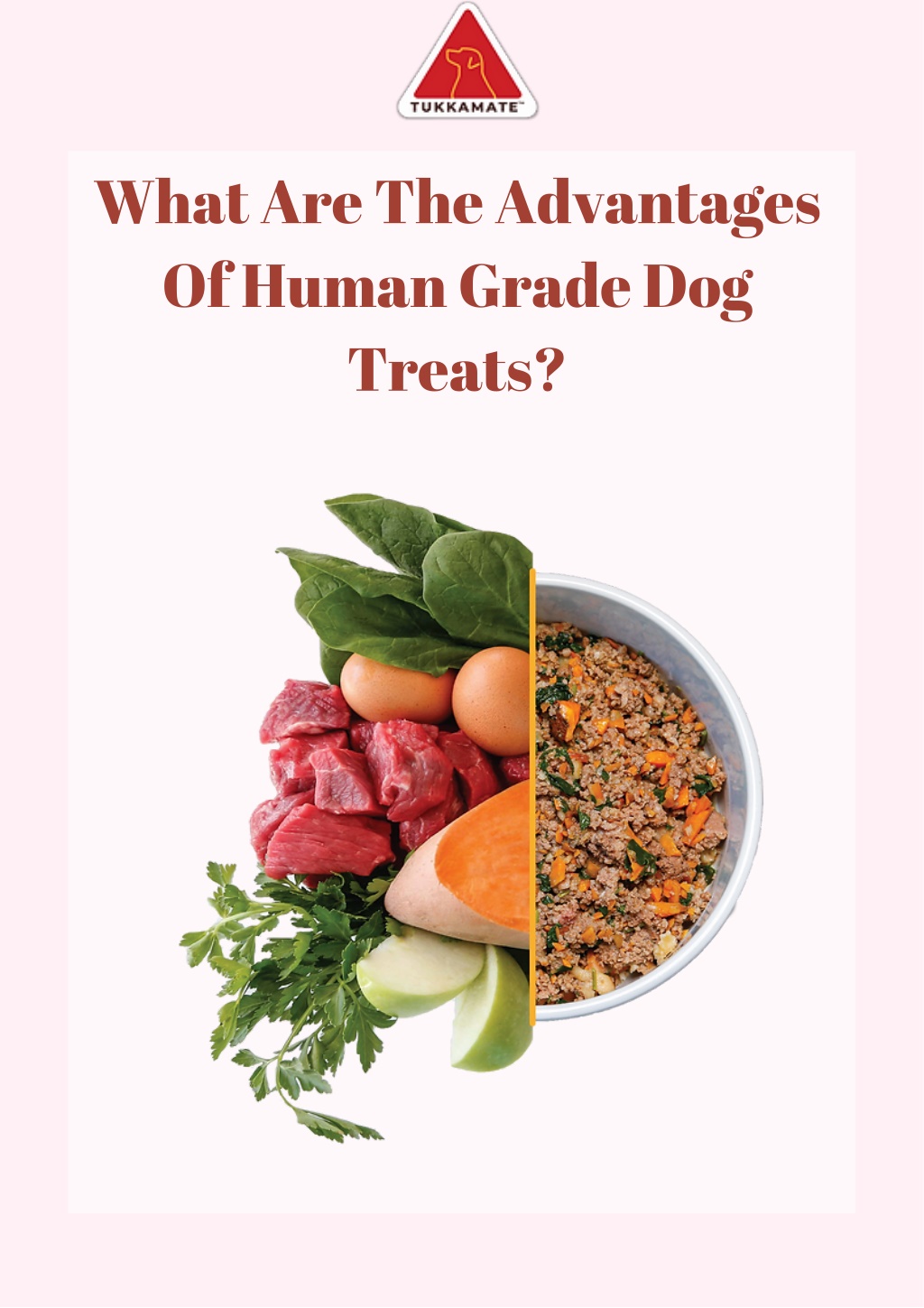 what is human grade dog food