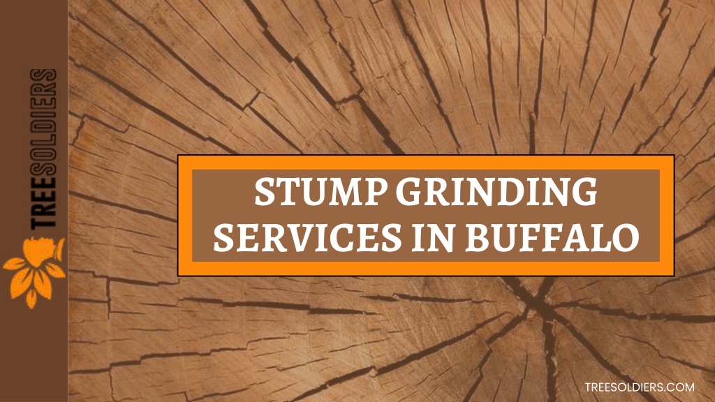 PPT Stump Grinding Services In Buffalo PowerPoint Presentation Free 