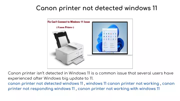 canon printer not detected windows 11