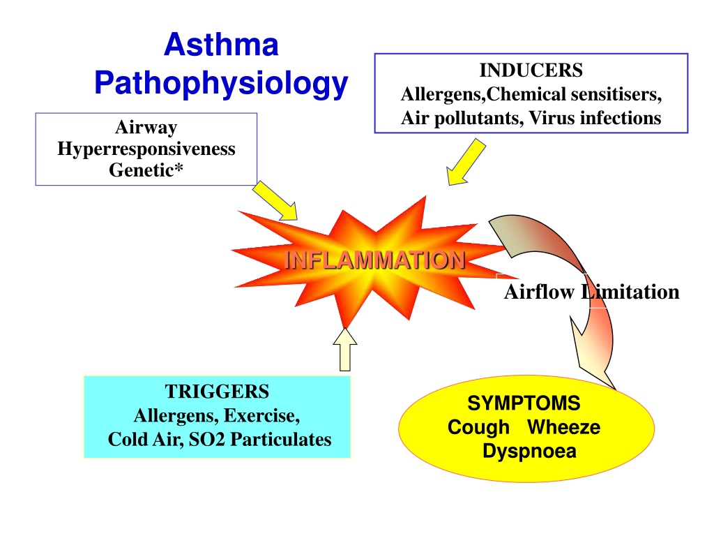 PPT - Asthma & COPD | Jindal Chest Clinic PowerPoint Presentation, free ...