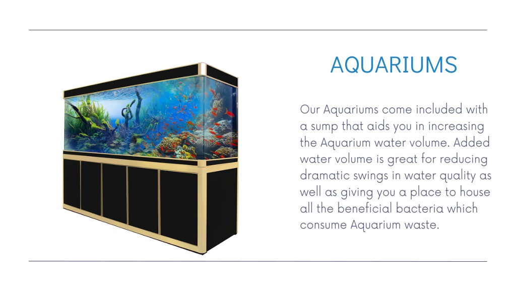 View of PPT - Shop Ultra Transparent Glass Aquariums - Aqua Dream USA ...