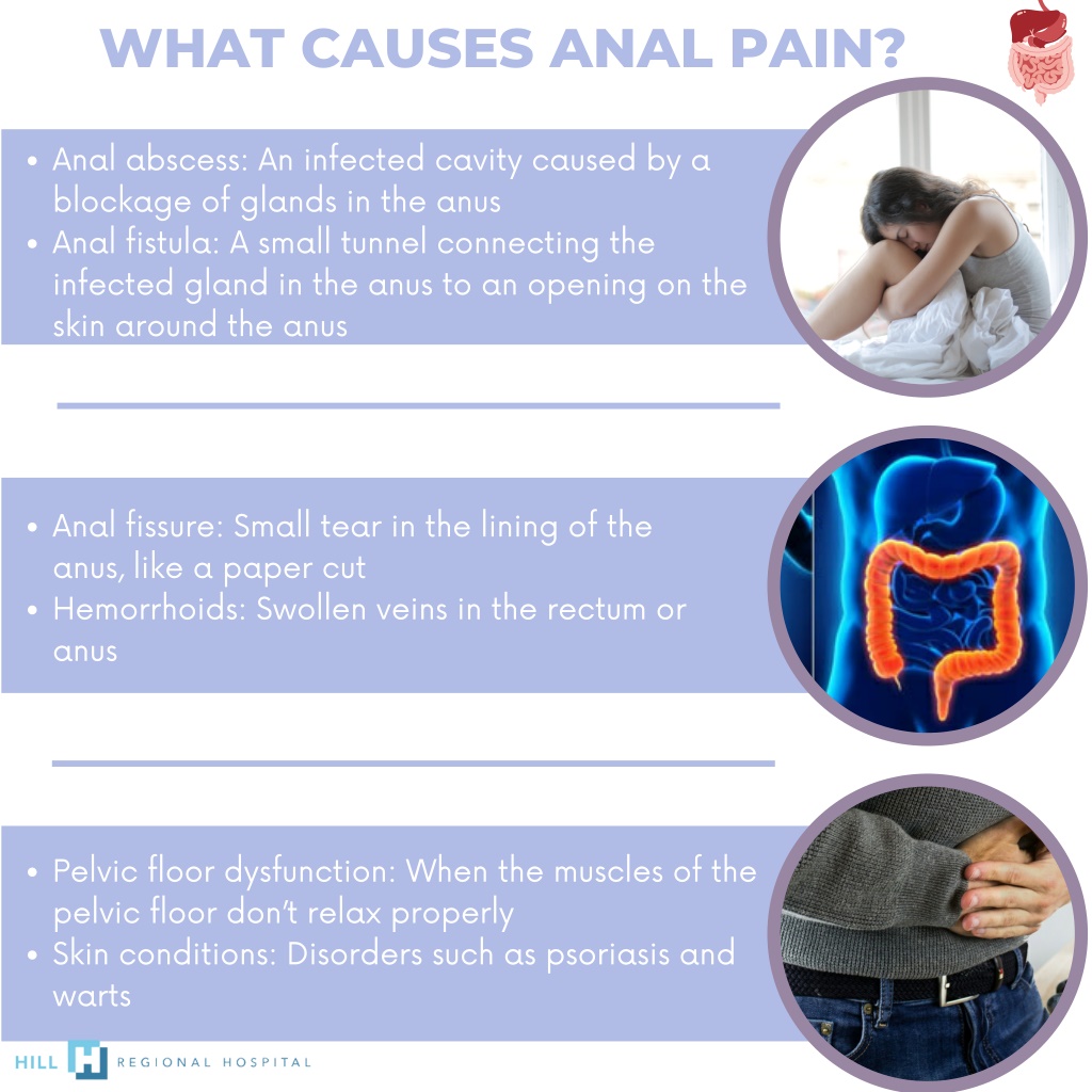 PPT - What Is Rectal Pain PowerPoint Presentation, Free Download - ID ...