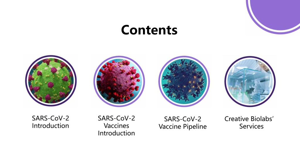 Sars cov 2 вакцина