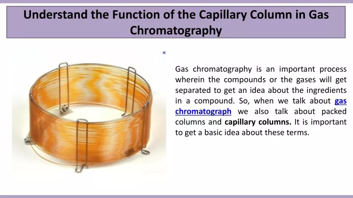 Ppt Understand The Function Of The Capillary Column In Gas Chromatography Powerpoint 5333