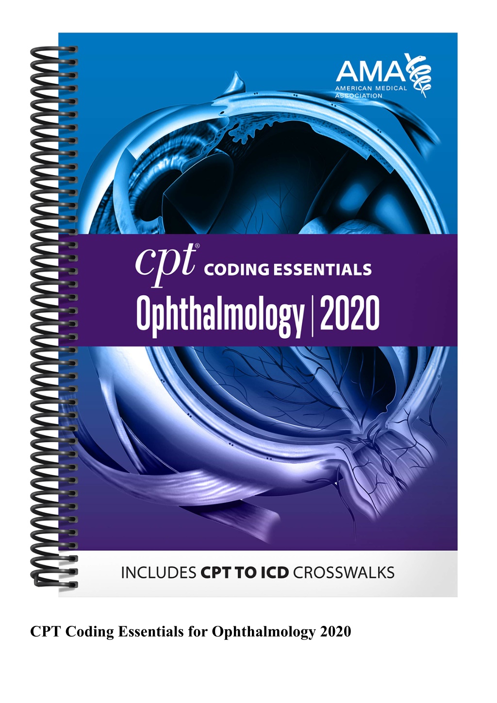 PPT EBOOK CPT Coding Essentials for Ophthalmology 2020 PowerPoint