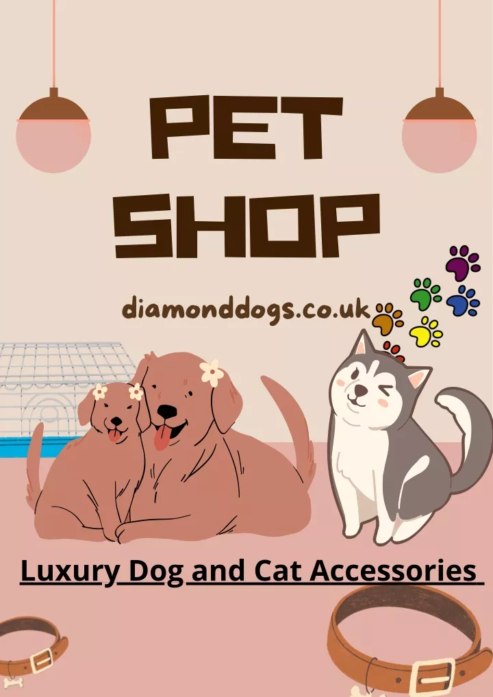 PPT Pet Accessories Store PowerPoint Presentation Free Download ID ppt-pet-accessories-store-powerpoint-presentation-free-download-id