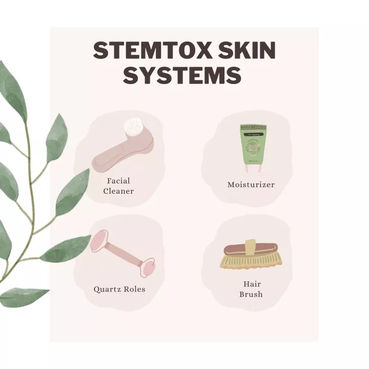 PPT - stemtox skin systems skin care routine PowerPoint Presentation