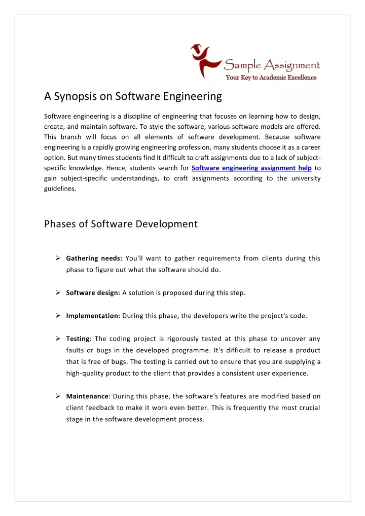 essay on software engineering