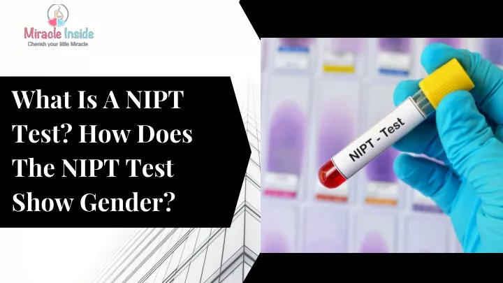 ppt-what-is-a-nipt-test-how-does-the-nipt-test-show-gender